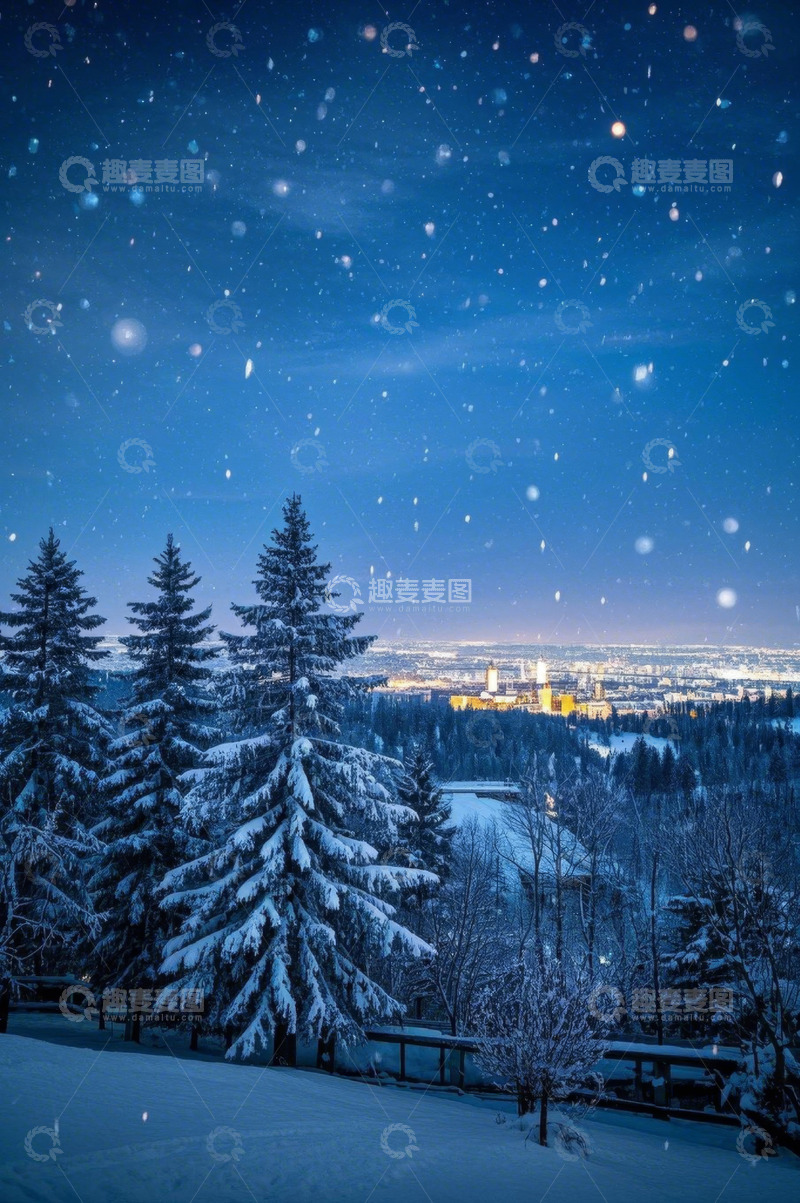 高清大图下载【趣麦麦图】雪夜森林远眺城市灯火