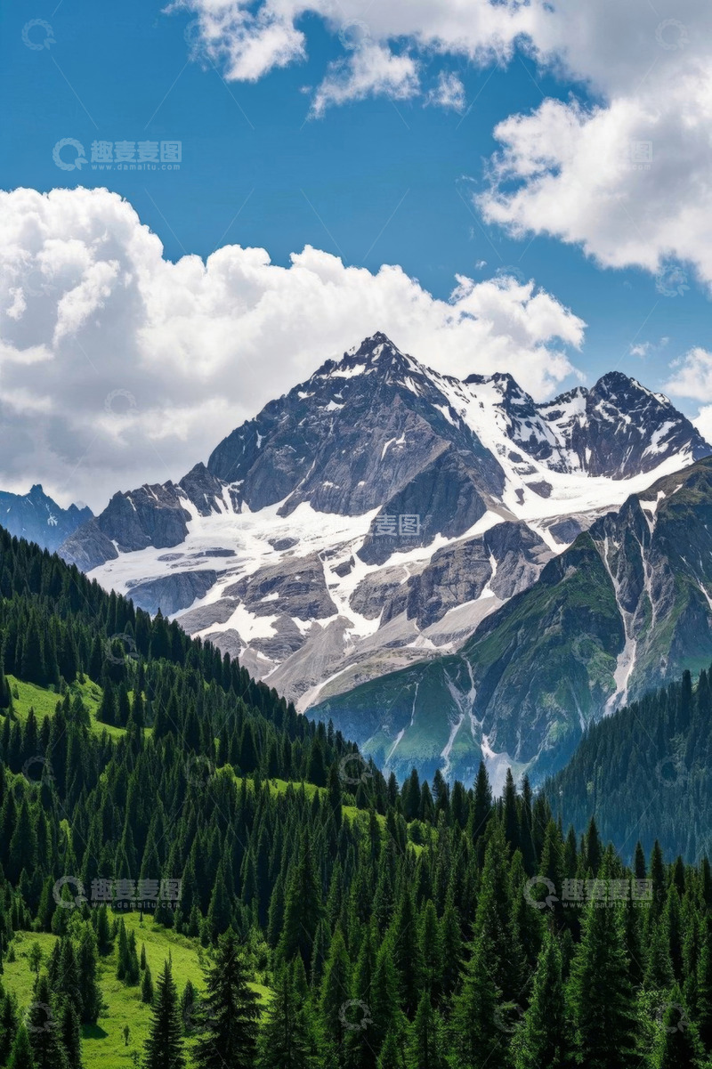 高清大图下载【趣麦麦图】雪山下的葱郁森林景观