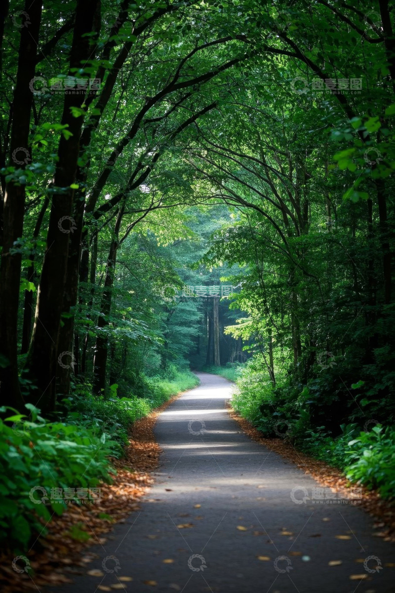 高清大图下载【趣麦麦图】林间小道自然景观