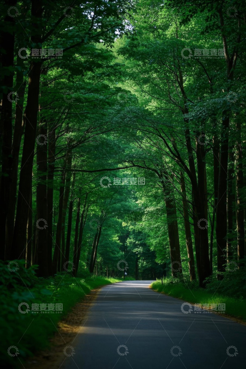 高清大图下载【趣麦麦图】林间绿色道路自然风光