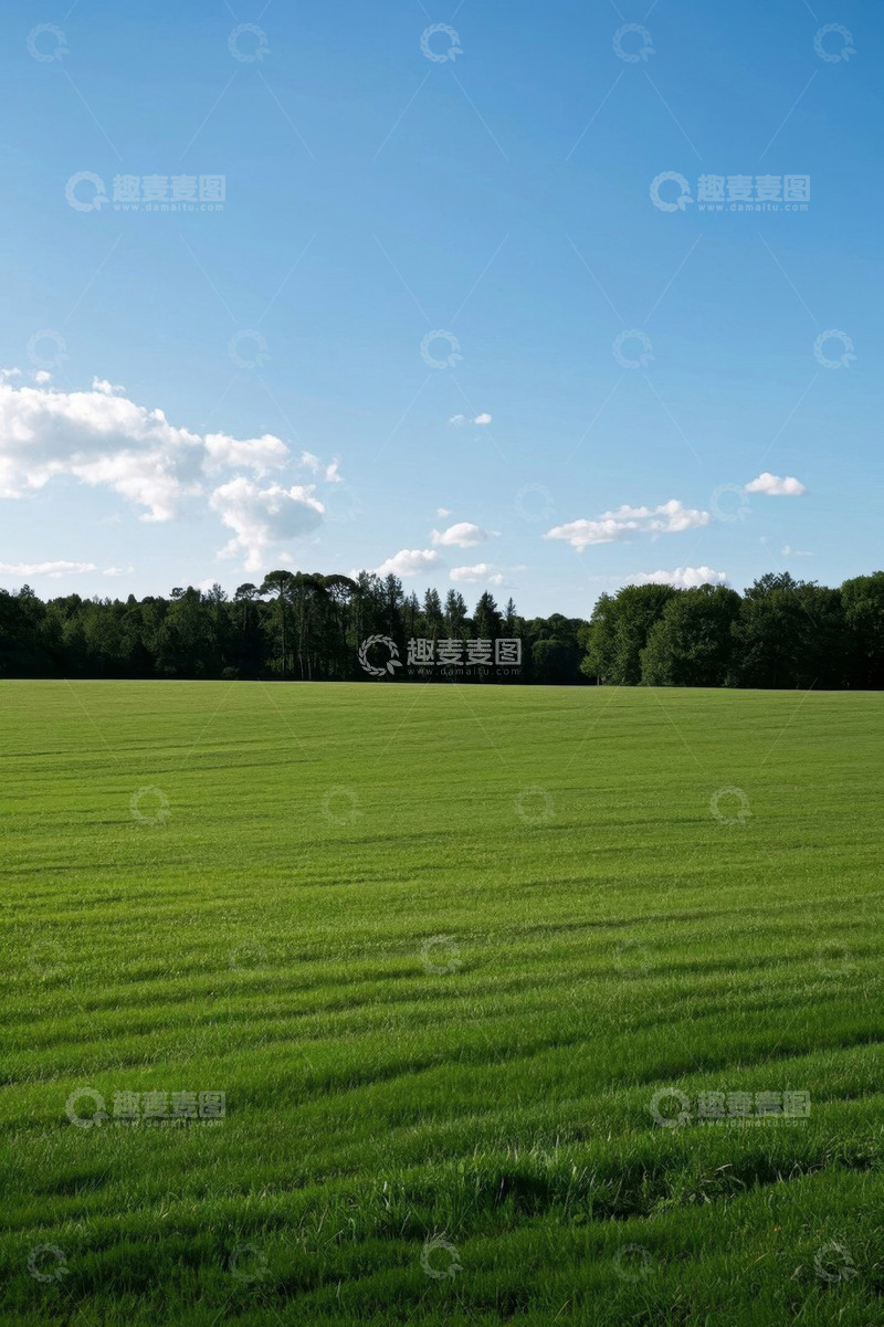 高清大图下载【趣麦麦图】绿色田野与远处树林景观