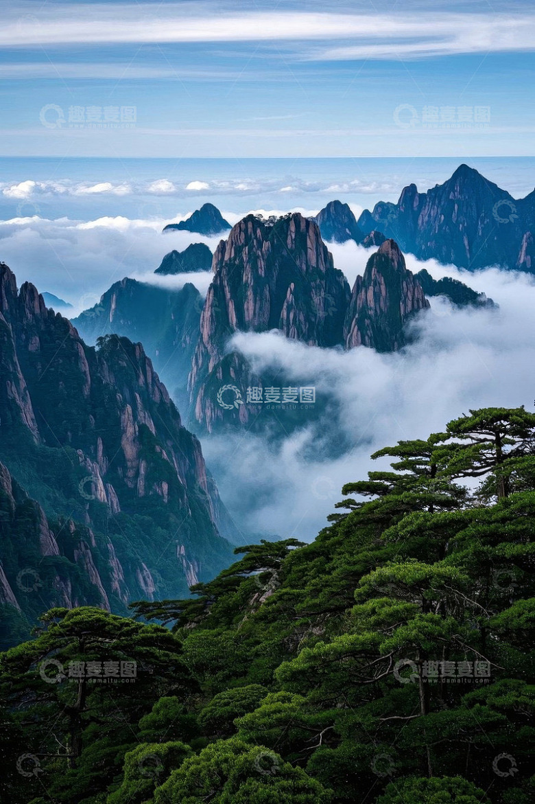 云雾缭绕的山峰与松树景观
