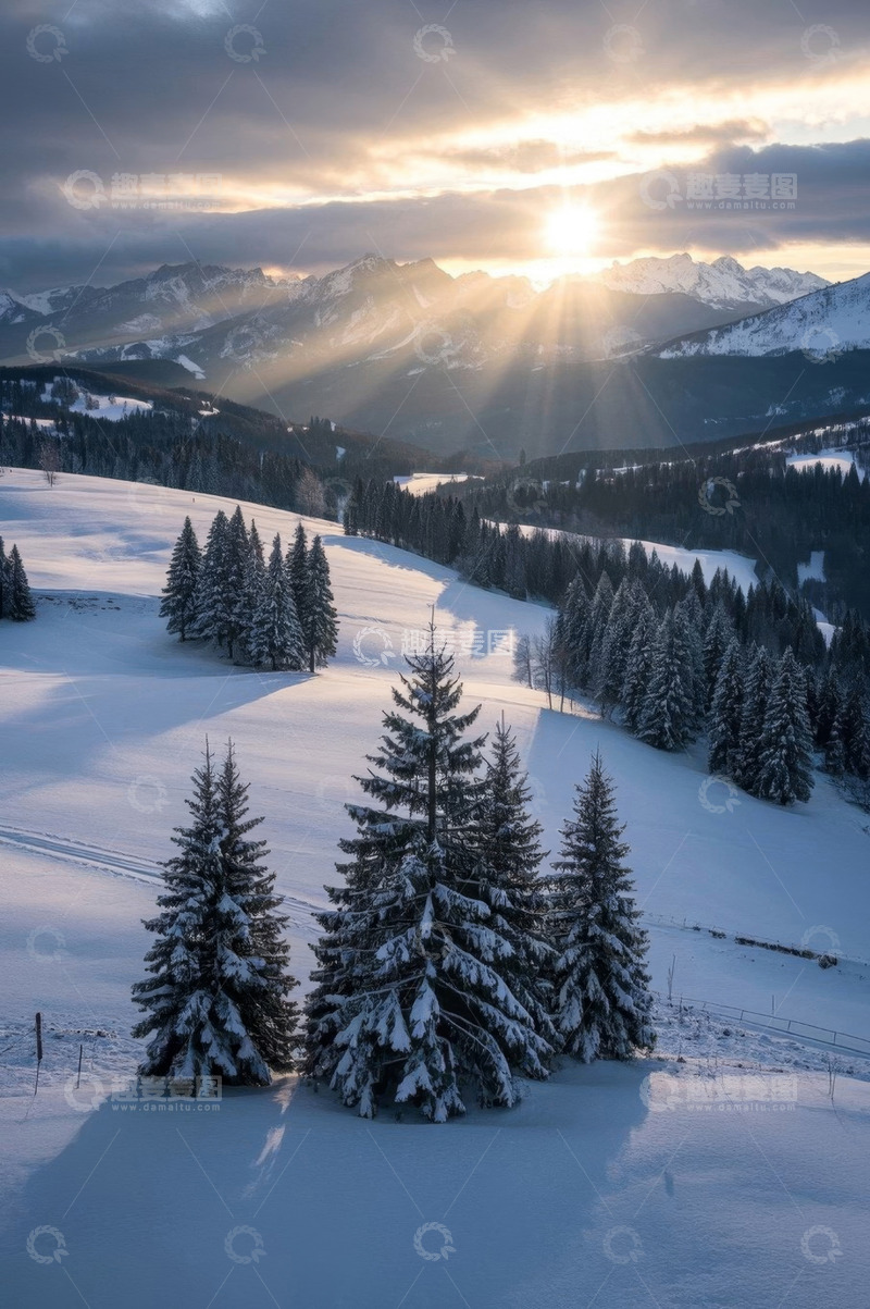 高清大图下载【趣麦麦图】雪山森林冬日日落景观
