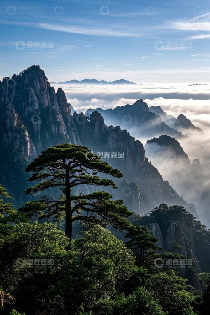 高清大图下载【趣麦麦图】黄山云海松树景观