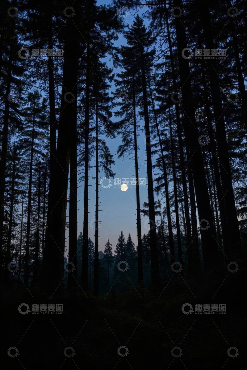 高清大图下载【趣麦麦图】森林月夜景象