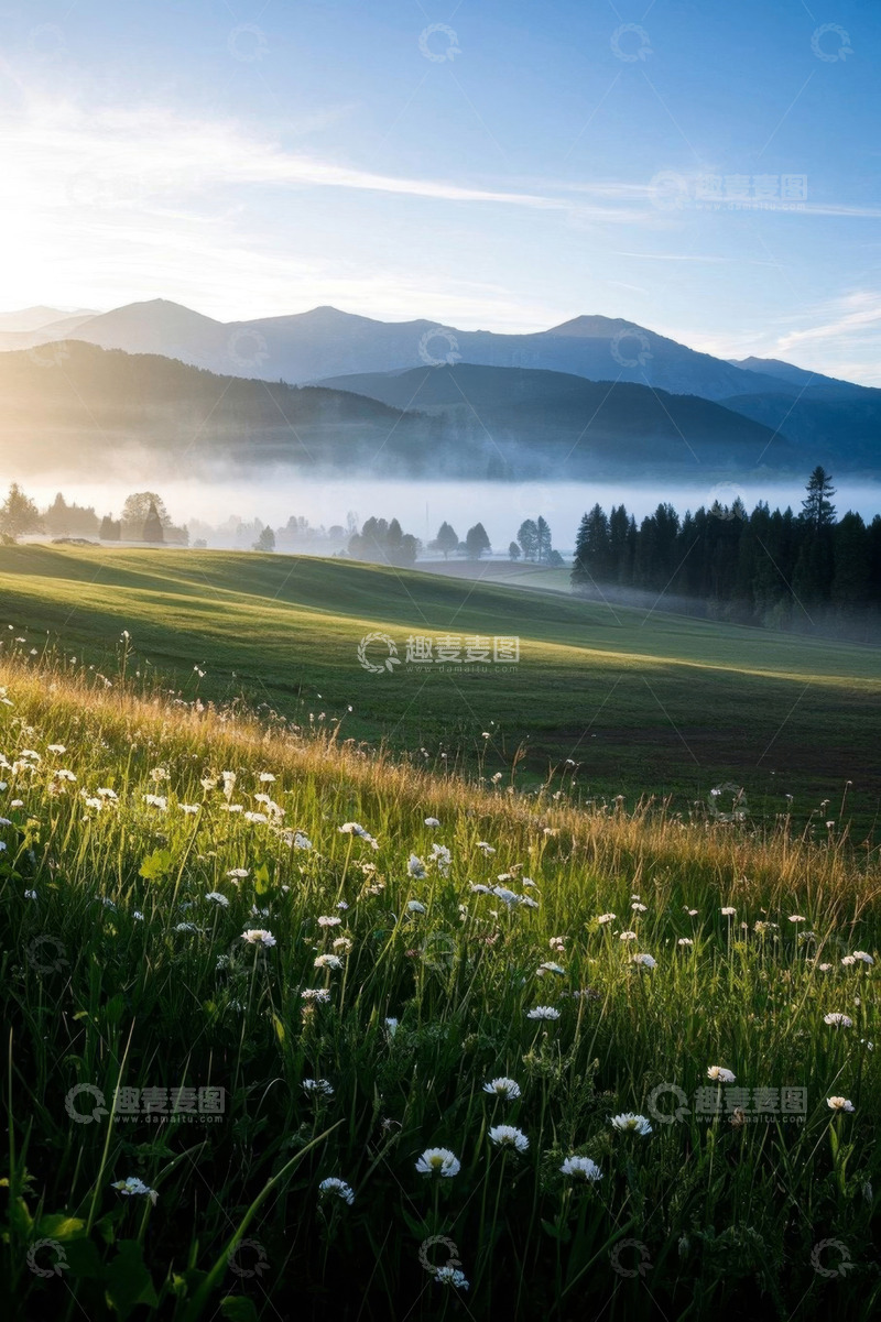 高清大图下载【趣麦麦图】山间晨雾中的草地与野花景观