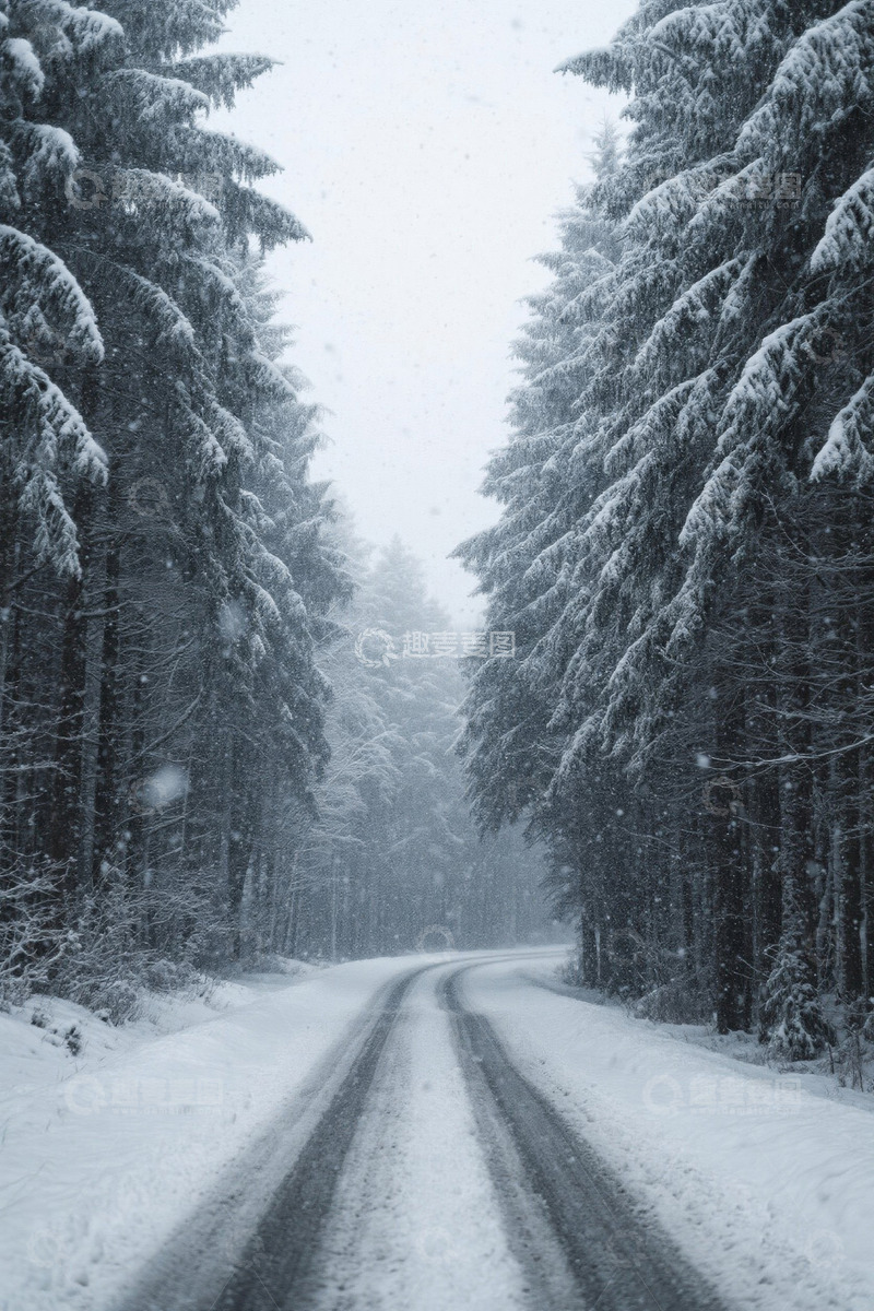高清大图下载【趣麦麦图】雪天森林中的积雪道路