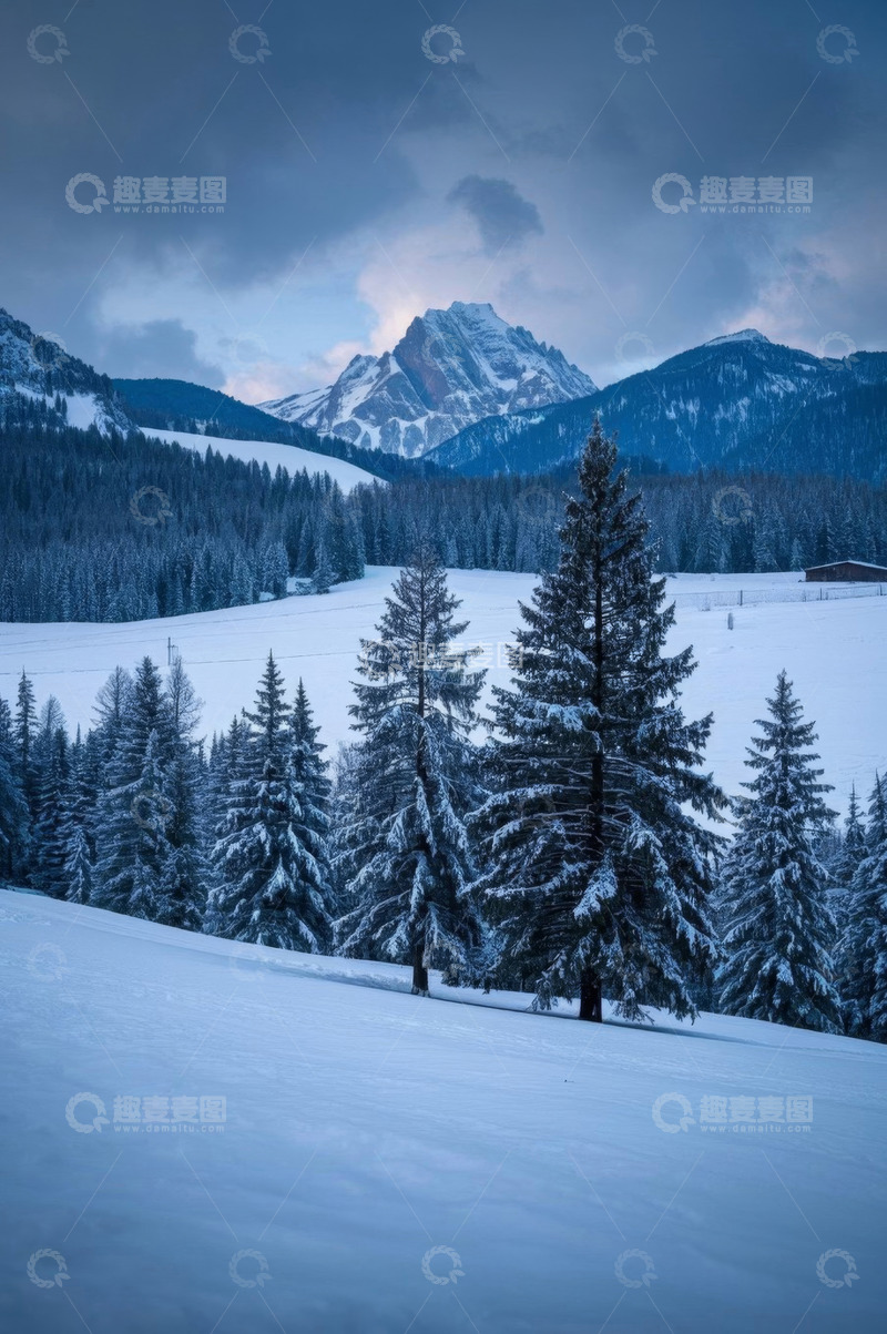高清大图下载【趣麦麦图】雪山下的森林雪景风光