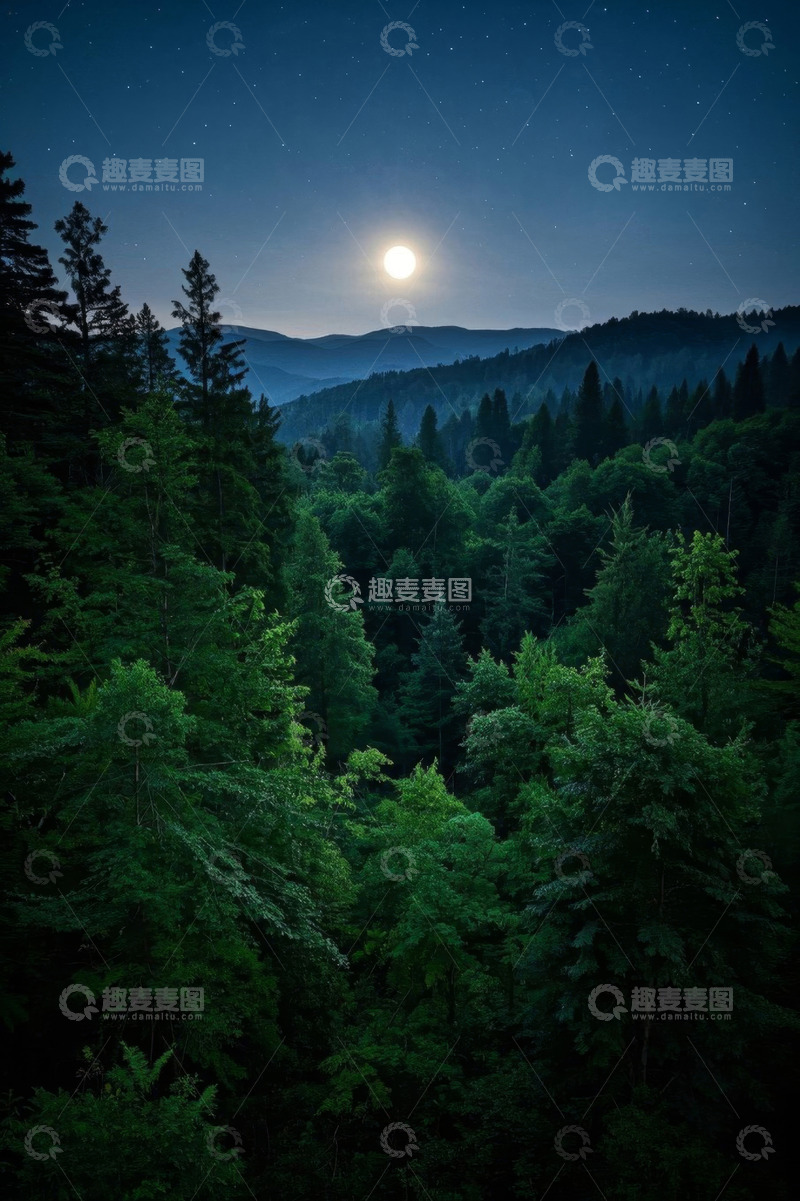 高清大图下载【趣麦麦图】月夜下的茂密森林景观