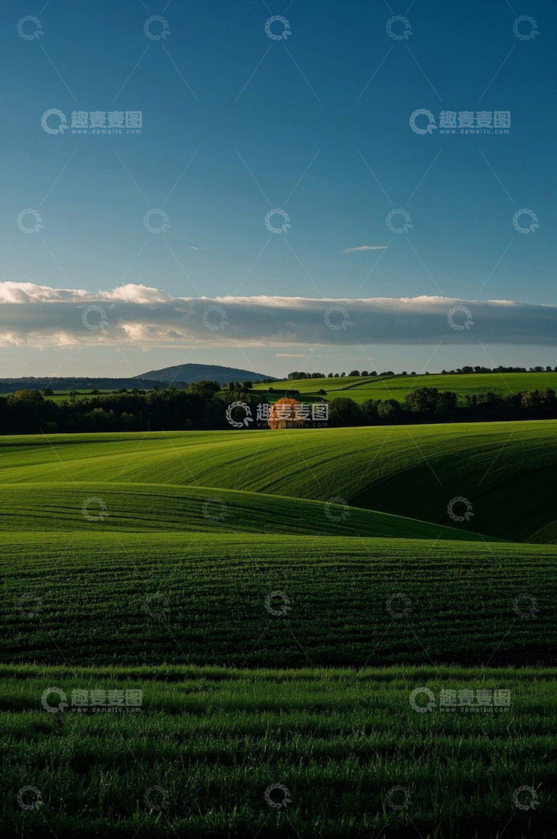 高清大图下载【趣麦麦图】绿色田野与孤树自然风光