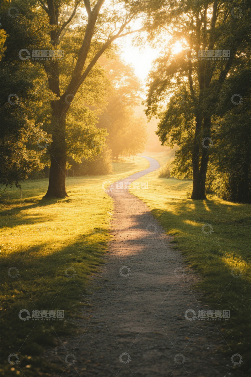 高清大图下载【趣麦麦图】林间小道清晨阳光风景