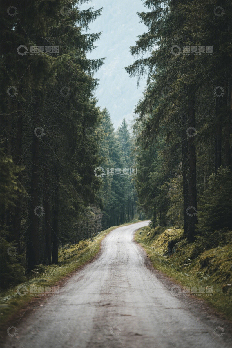 高清大图下载【趣麦麦图】林间蜿蜒小路自然风光