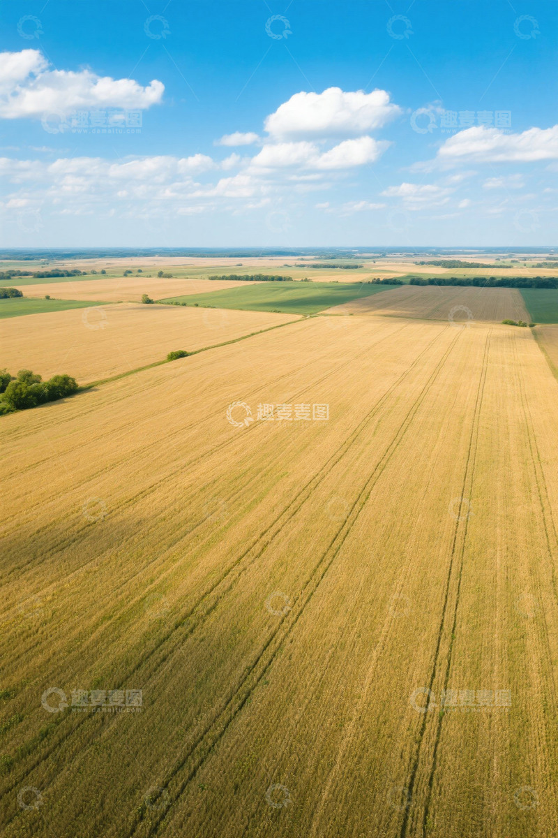 高清大图下载【趣麦麦图】航拍广阔麦田田园风光