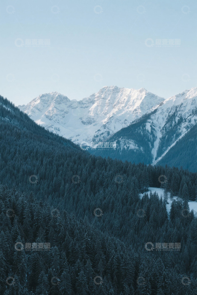 高清大图下载【趣麦麦图】雪覆山峦下的茂密森林景观