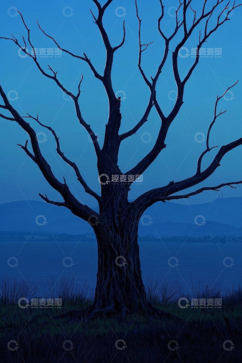 高清大图下载【趣麦麦图】湖畔枯树黄昏风景