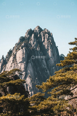 中国山景与松树自然风光