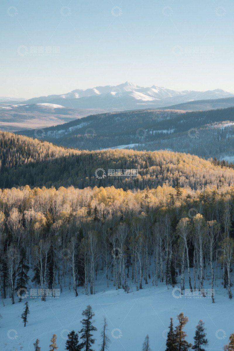 高清大图下载【趣麦麦图】雪山下的森林雪景风光