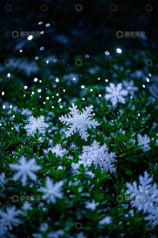 绿叶上飘落的雪花微距画面