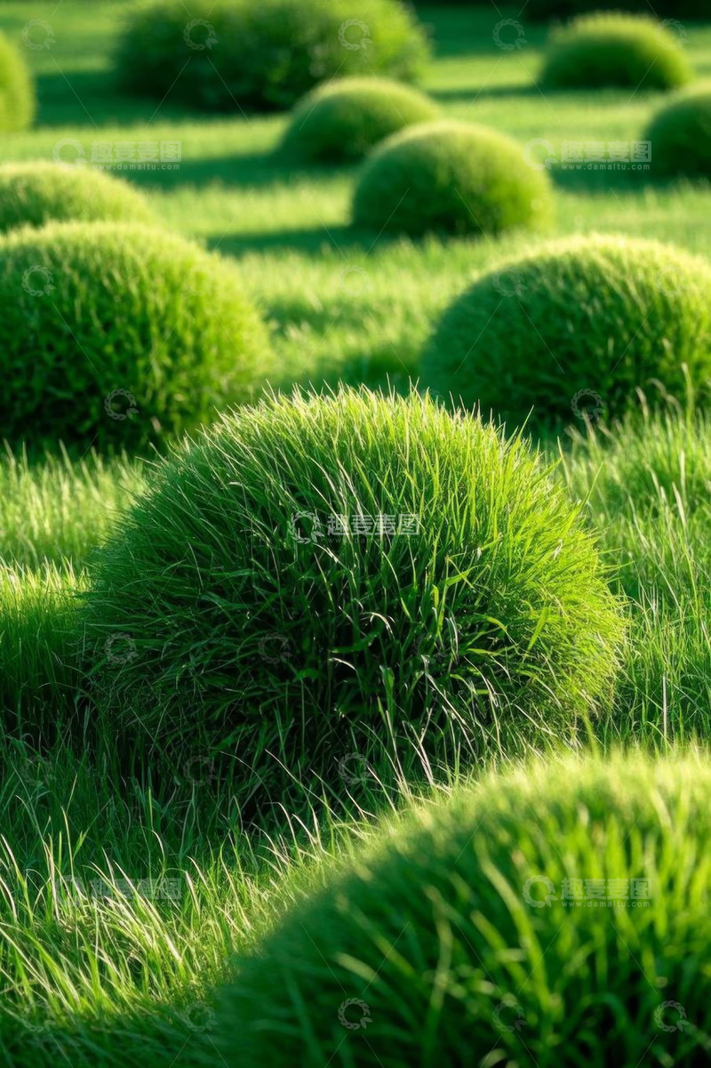 高清大图下载【趣麦麦图】户外圆形绿植景观