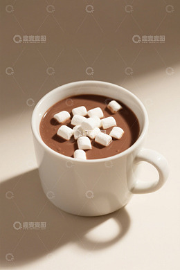 白色杯子装热可可配棉花糖