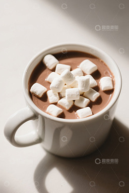 装着棉花糖的热可可饮品