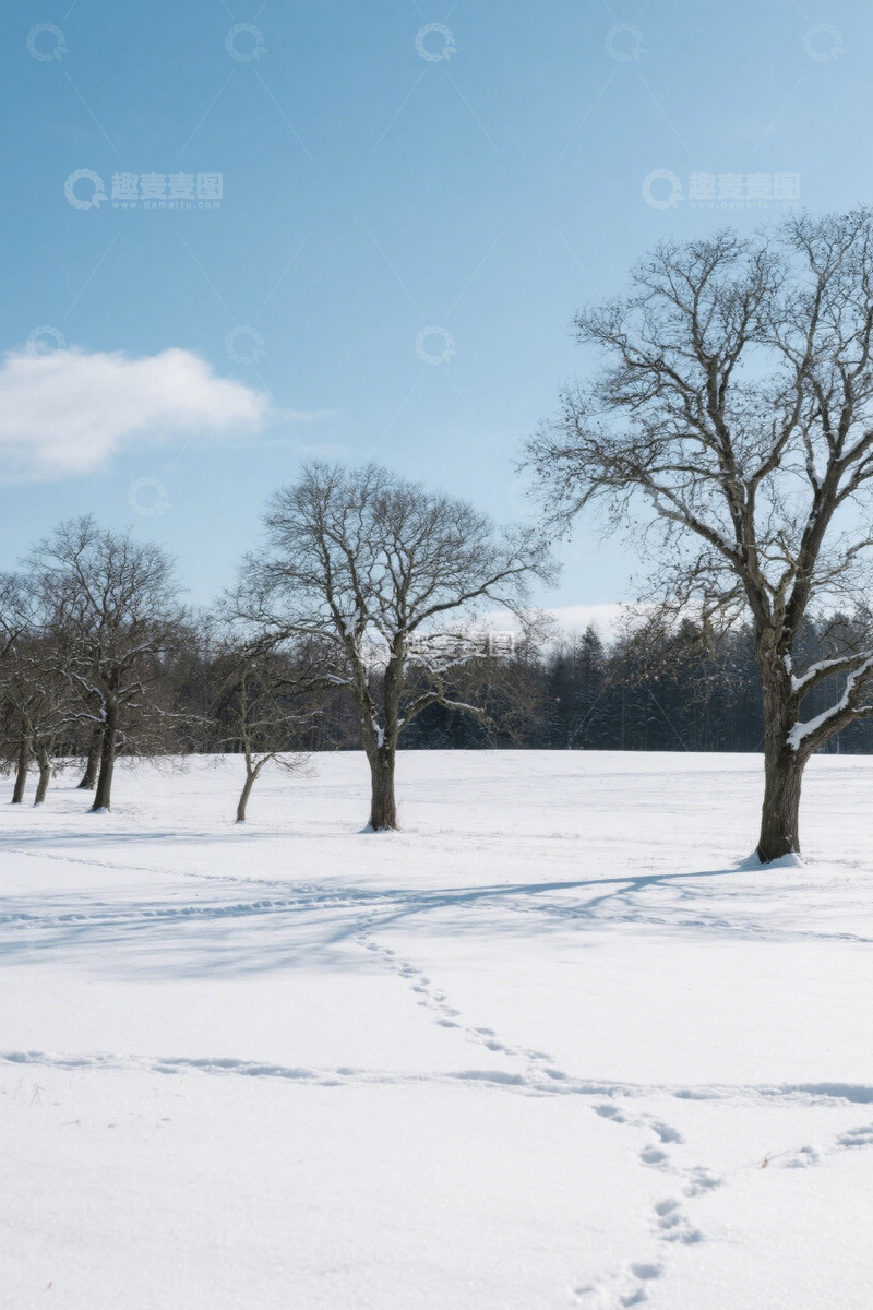 高清大图下载【趣麦麦图】雪地上的树木与脚印景观