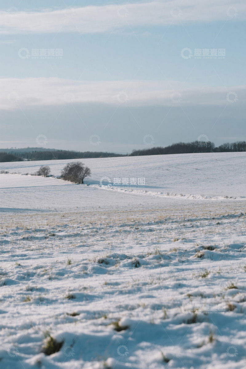 高清大图下载【趣麦麦图】冬日雪覆盖的开阔田野