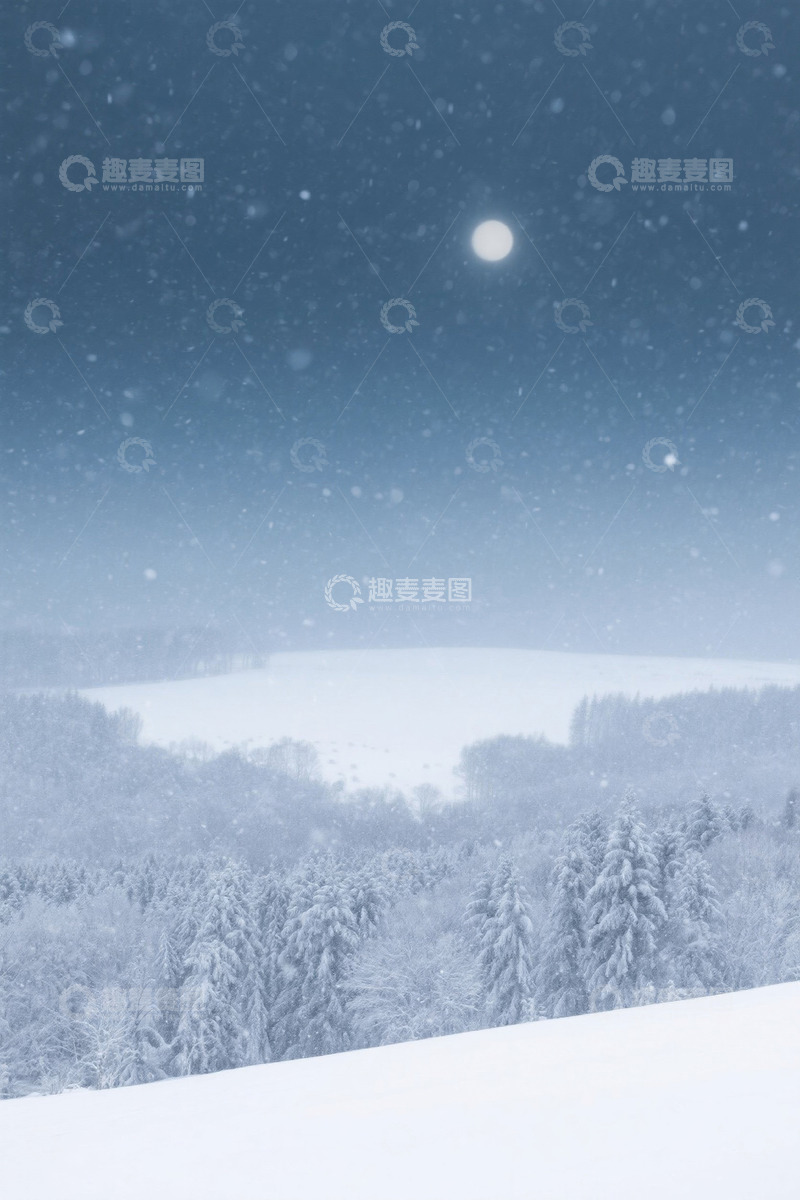 高清大图下载【趣麦麦图】雪后森林月夜景色