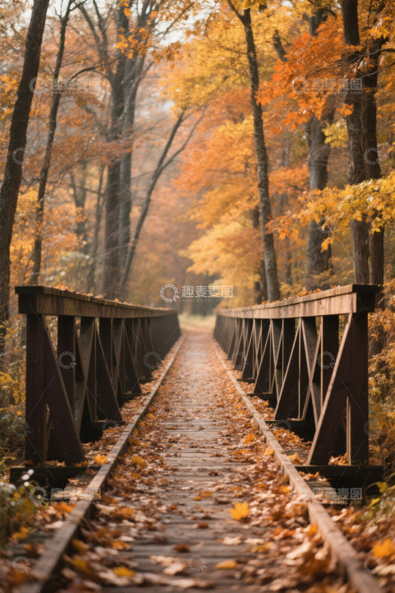 高清大图下载【趣麦麦图】秋日森林中的木质栈道景观