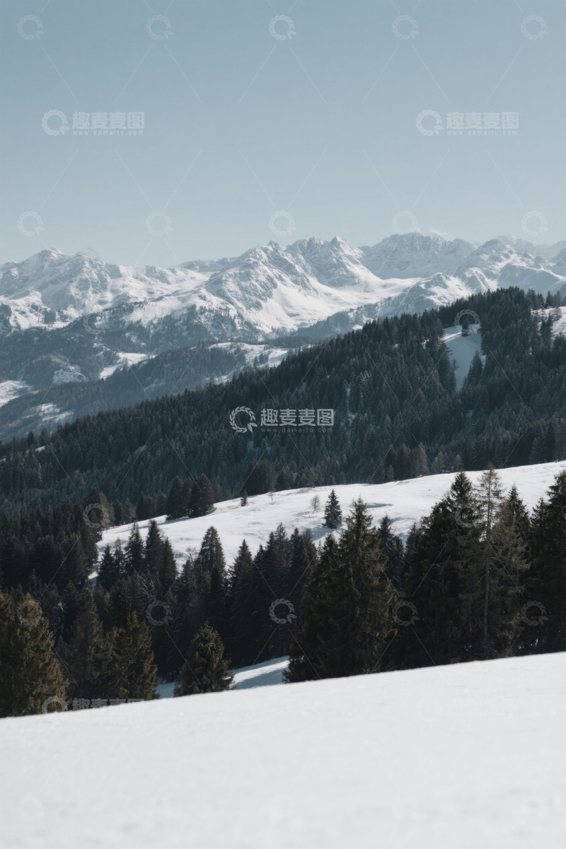高清大图下载【趣麦麦图】雪山森林户外雪景
