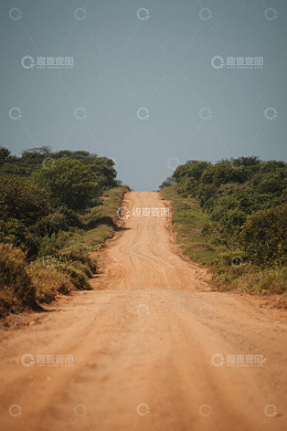 荒野中的泥土道路