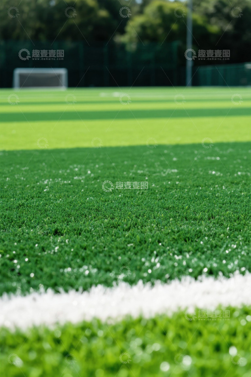 高清大图下载【趣麦麦图】户外足球场绿色草坪近景