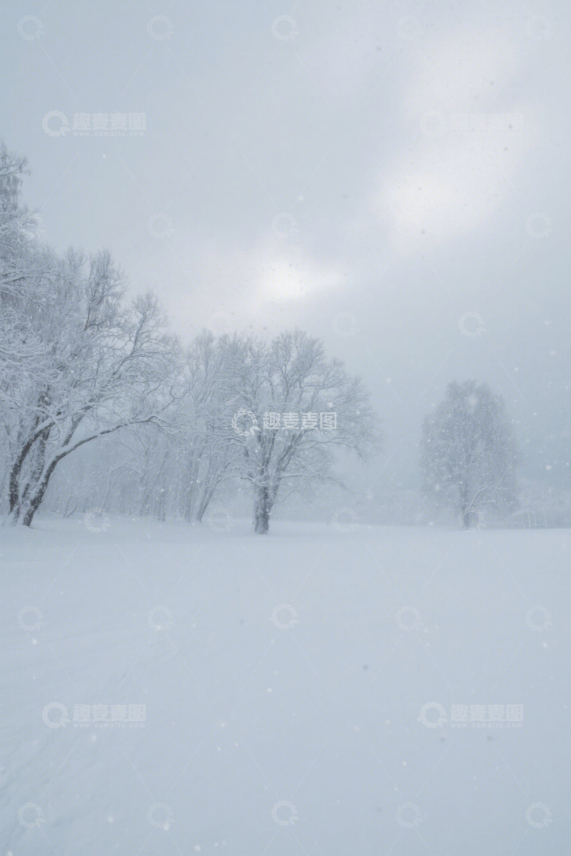 高清大图下载【趣麦麦图】雪地树林雪景自然景观