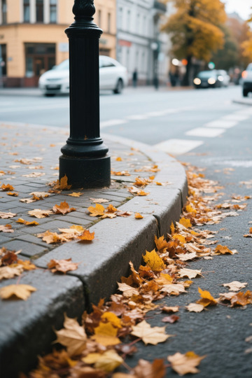 街边秋日落叶场景