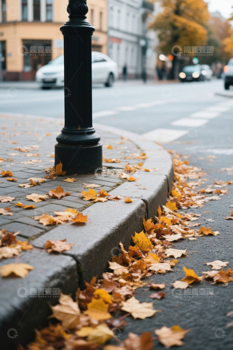 高清大图下载【趣麦麦图】街边秋日落叶场景