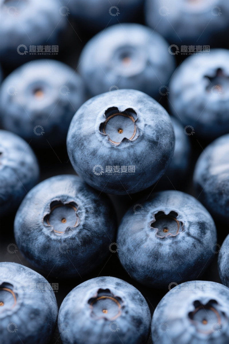 高清大图下载【趣麦麦图】微距特写蓝莓浆果