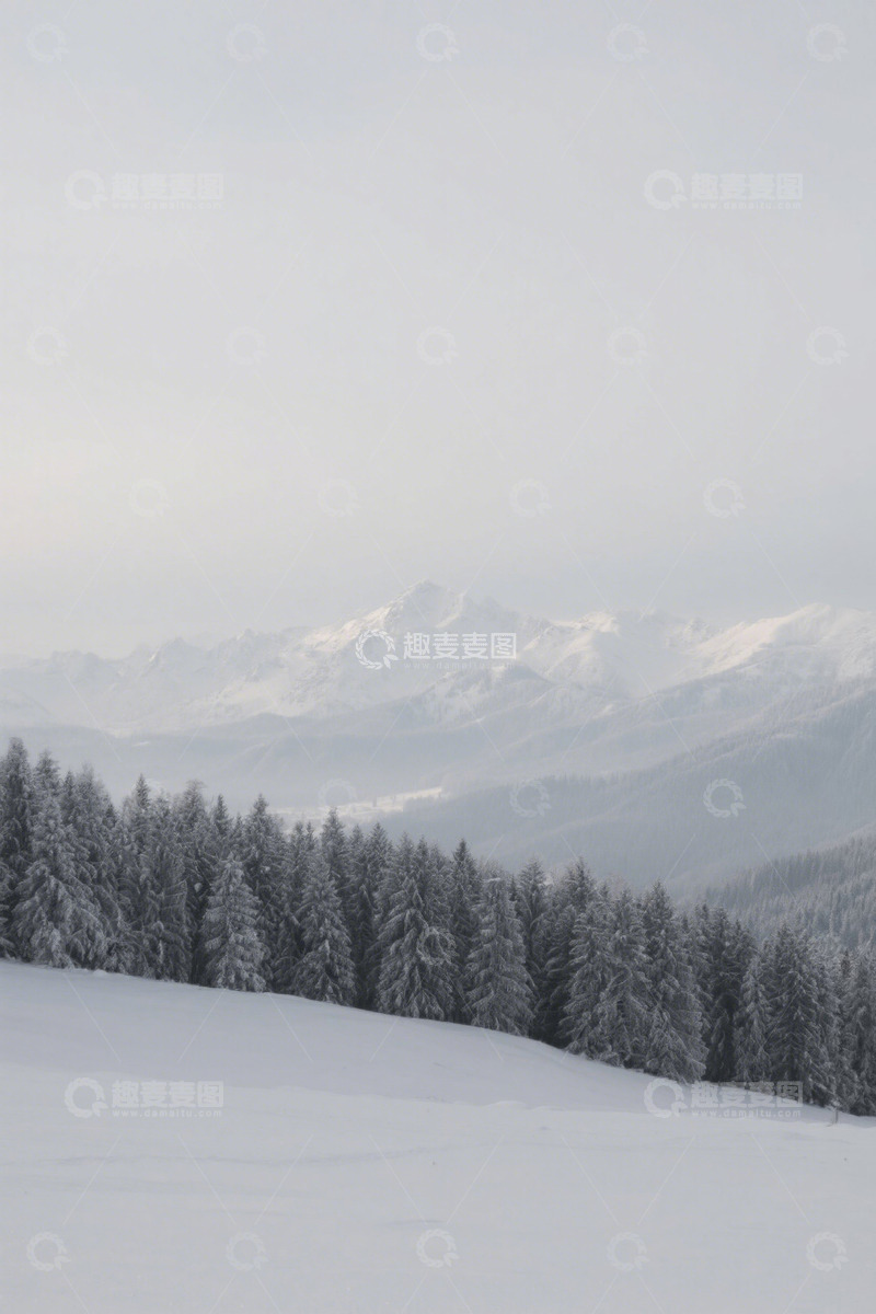 高清大图下载【趣麦麦图】雪覆山林与远处雪山景致