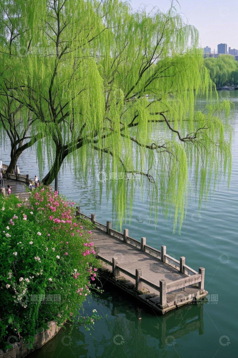 高清大图下载【趣麦麦图】湖边垂柳与木质栈道景观