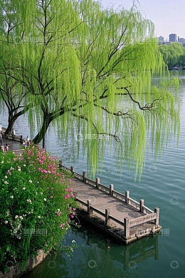 湖边垂柳与木质栈道景观