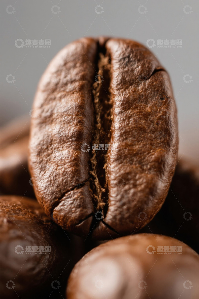 高清大图下载【趣麦麦图】特写咖啡豆素材
