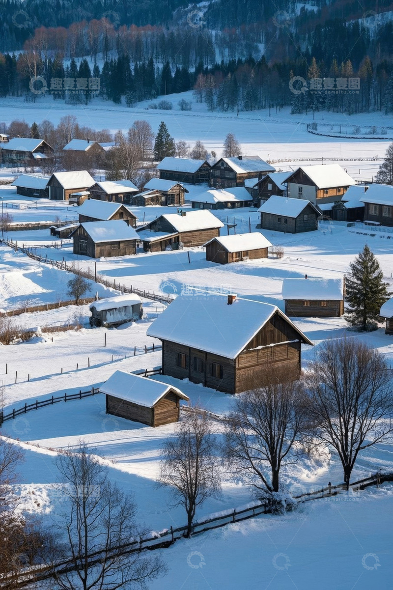 高清大图下载【趣麦麦图】雪覆村庄与森林景观