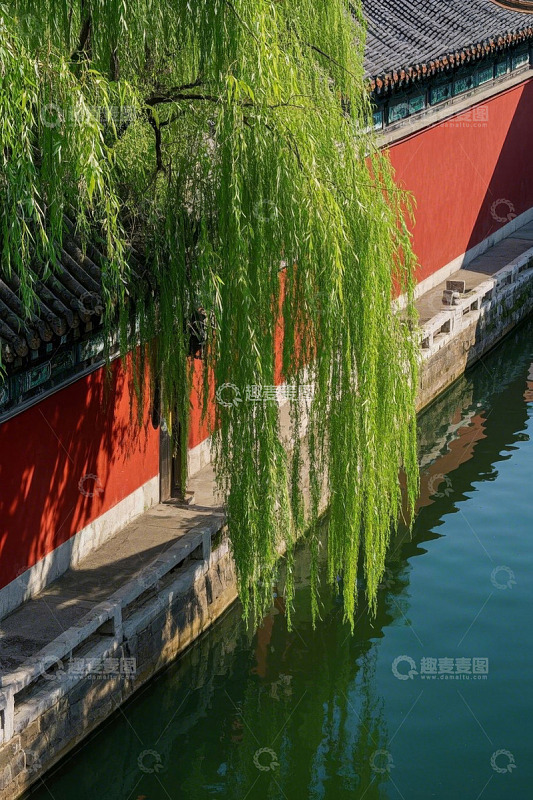 红墙边垂柳垂于水面景象