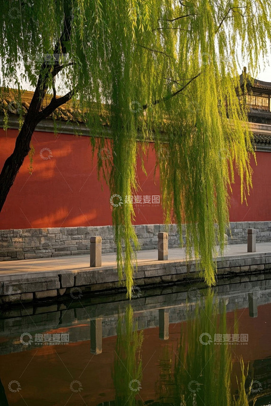 红墙垂柳倒影景观