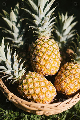 篮子里摆放的新鲜菠萝