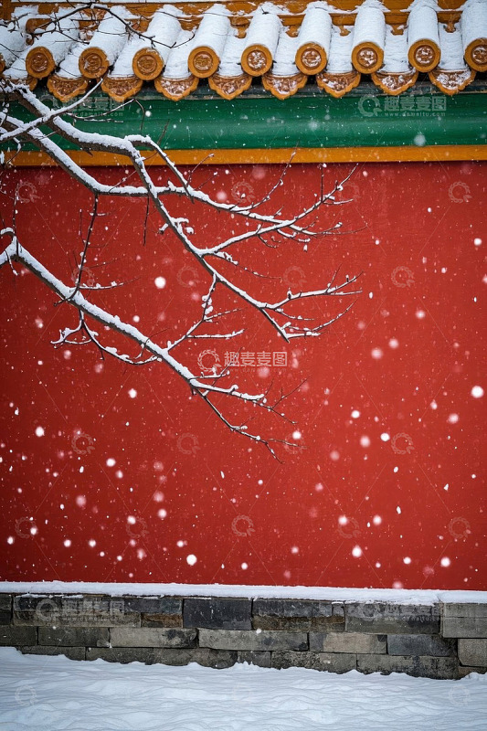 红墙绿瓦雪景特写