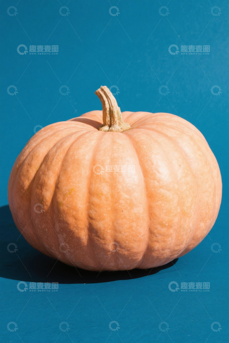 高清大图下载【趣麦麦图】蓝色背景上的橙色南瓜