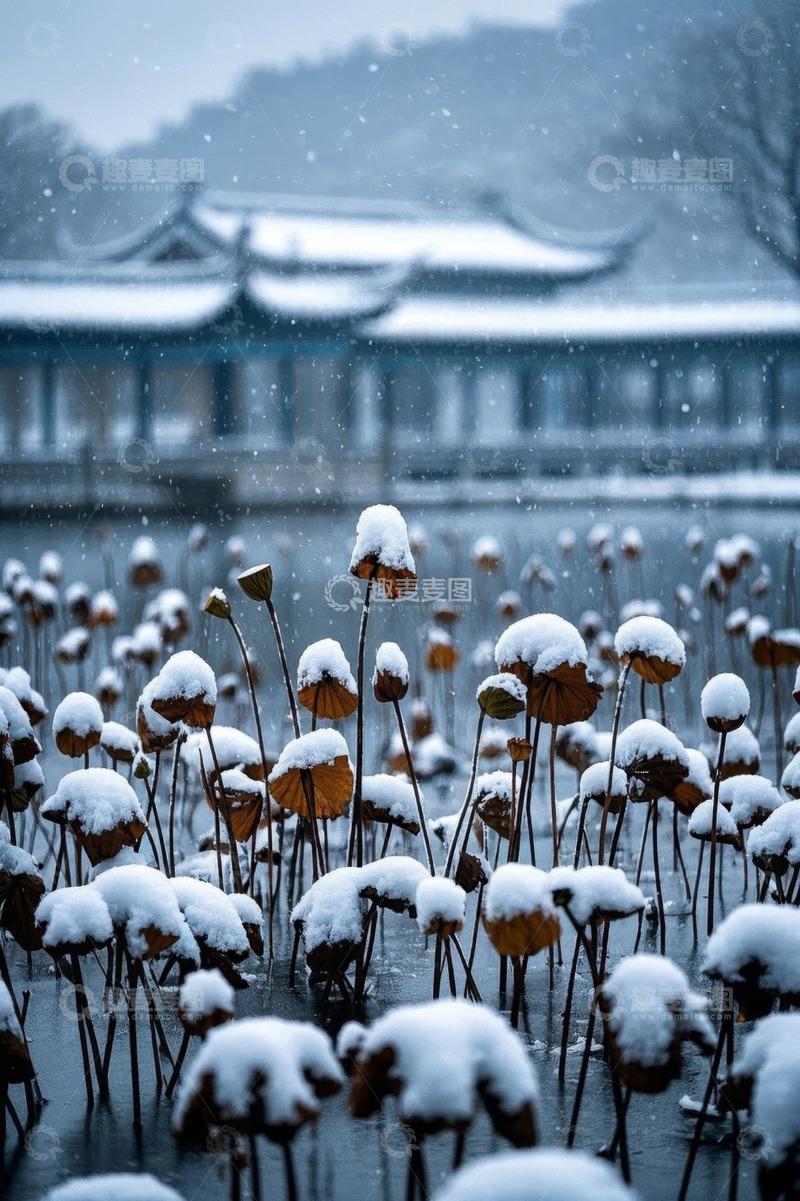 高清大图下载【趣麦麦图】西湖雪景中的残荷与古建筑
