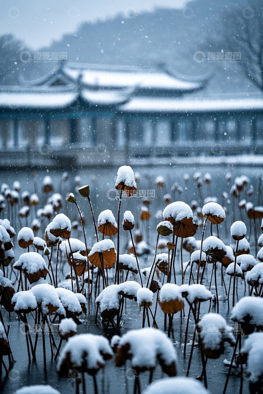 西湖雪景中的残荷与古建筑
