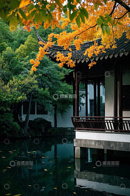 中式园林亭台水景画面