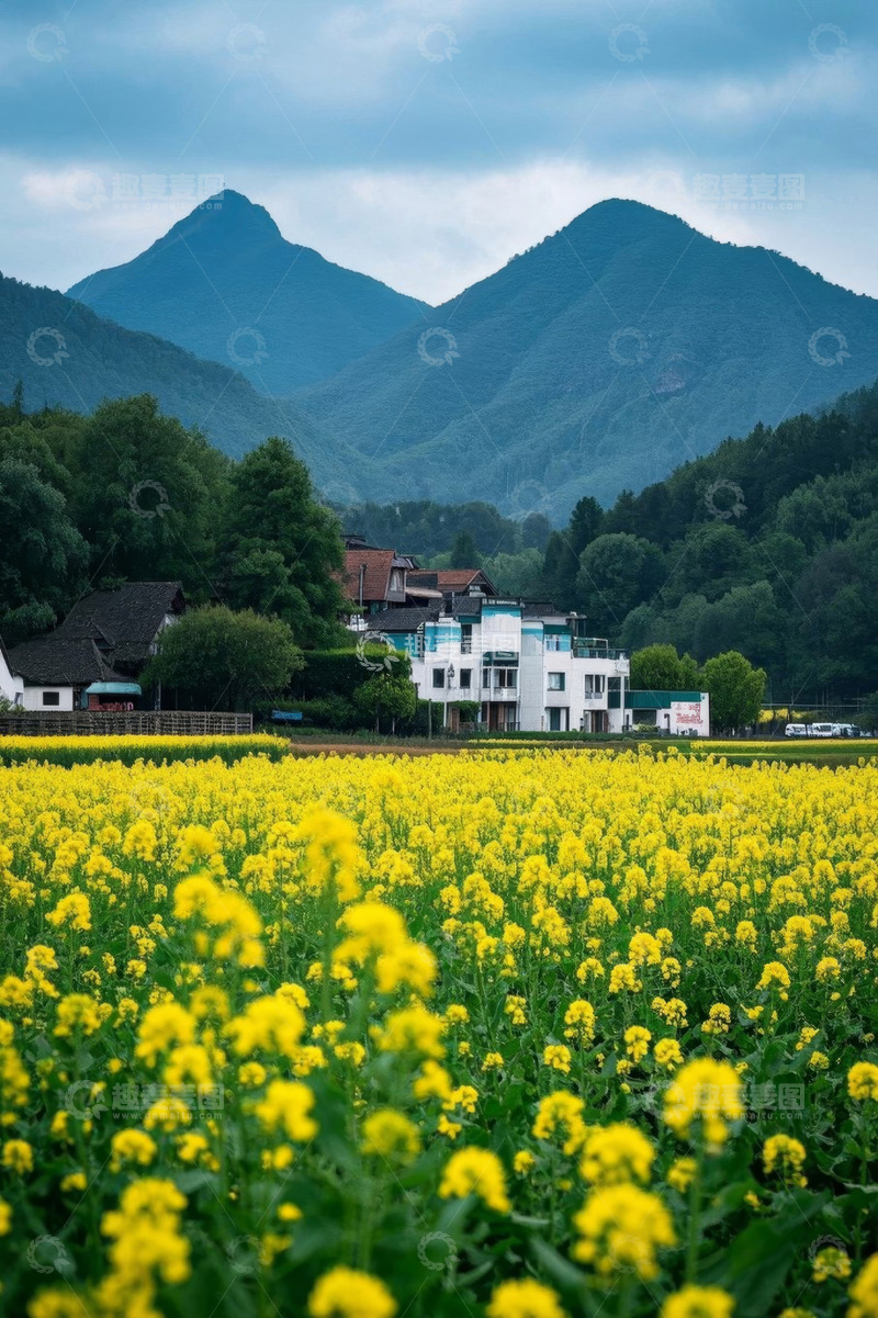 高清大图下载【趣麦麦图】山村油菜花田田园风光